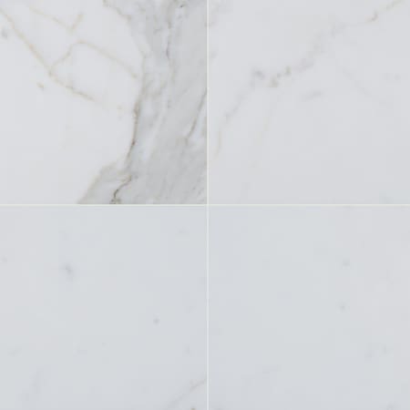 Calacatta Gold 12 In. X 24 In. Polished Marble Floor And Wall Tile, 6PK